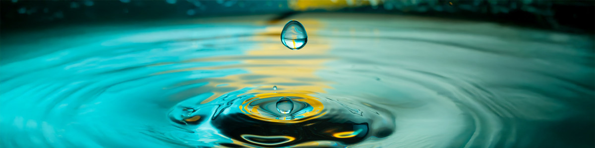 Die Grenzen der Achtsamkeit