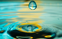 Die Grenzen der Achtsamkeit_II